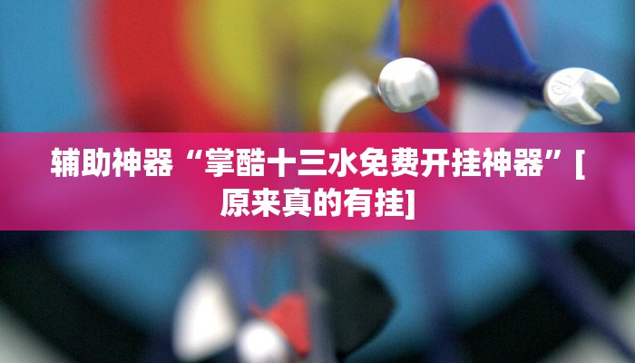 辅助神器“掌酷十三水免费开挂神器”[原来真的有挂]