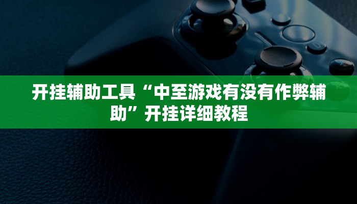 开挂辅助工具“中至游戏有没有作弊辅助”开挂详细教程