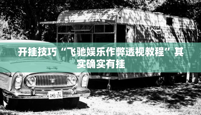 开挂技巧“飞驰娱乐作弊透视教程”其实确实有挂