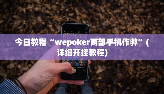 今日教程“wepoker两部手机作弊”(详细开挂教程)