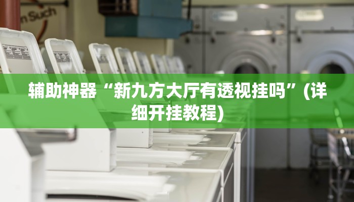 辅助神器“新九方大厅有透视挂吗”(详细开挂教程)