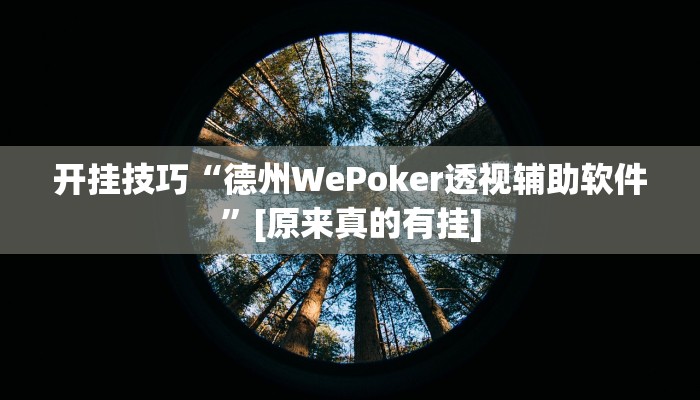 开挂技巧“德州WePoker透视辅助软件”[原来真的有挂]
