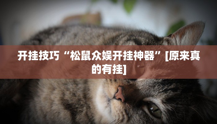 开挂技巧“松鼠众娱开挂神器”[原来真的有挂]