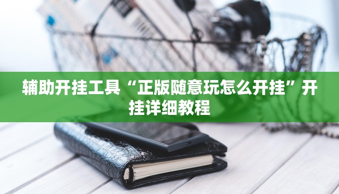 辅助神器“德扑之星透视开挂”(详细开挂教程)