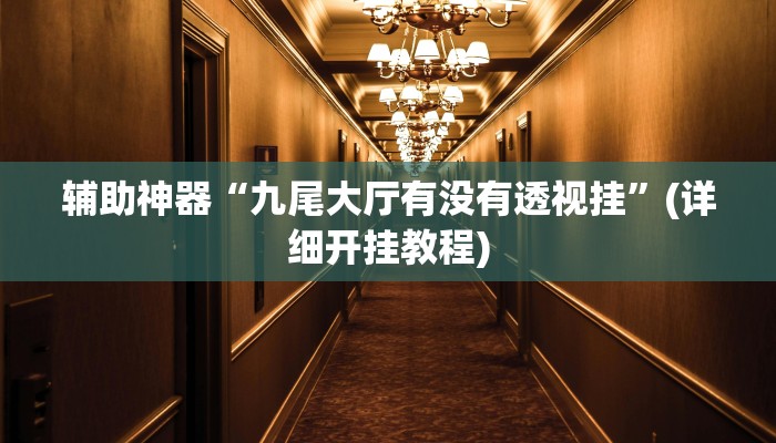 辅助神器“九尾大厅有没有透视挂”(详细开挂教程)