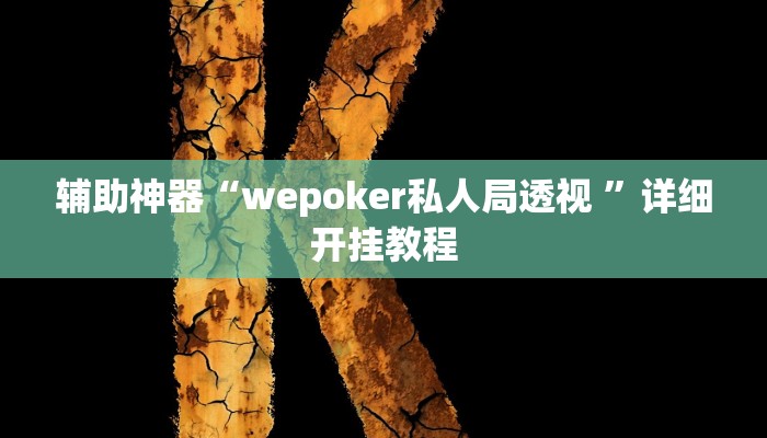 辅助神器“wepoker私人局透视 ”详细开挂教程