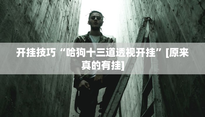 开挂技巧“哈狗十三道透视开挂”[原来真的有挂]