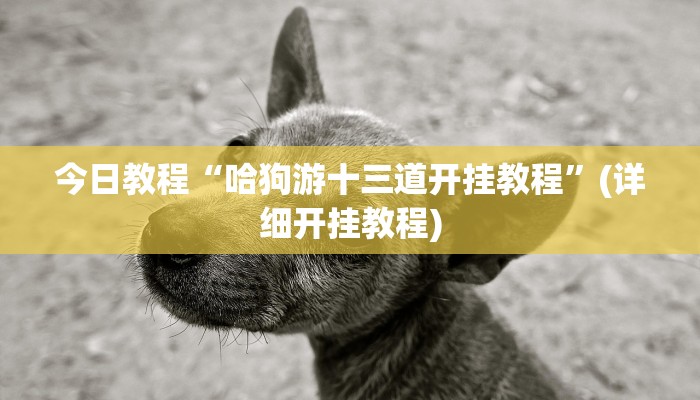 今日教程“哈狗游十三道开挂教程”(详细开挂教程)