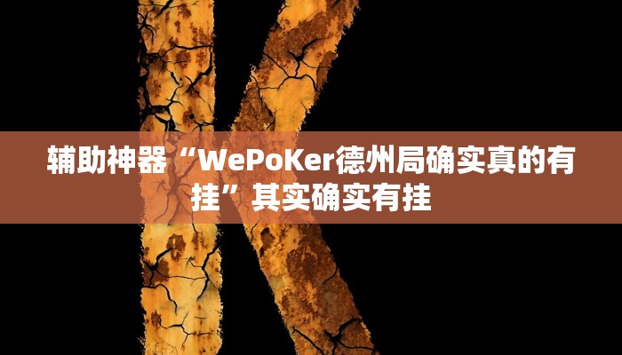 辅助神器“WePoKer德州局确实真的有挂”其实确实有挂