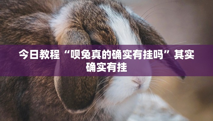 今日教程“呗兔真的确实有挂吗”其实确实有挂