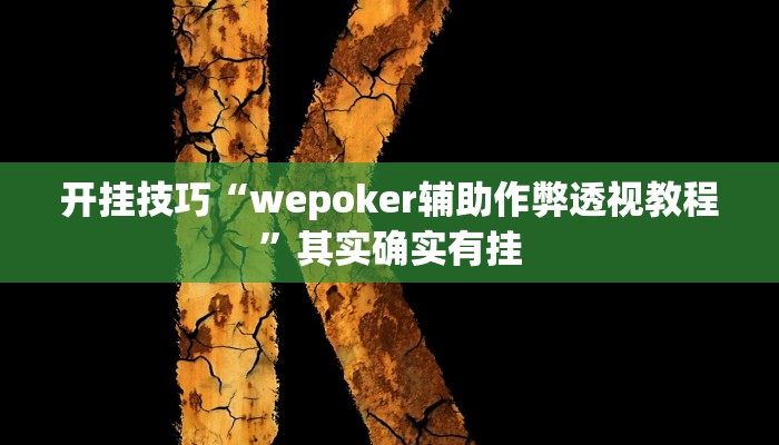 开挂技巧“wepoker辅助作弊透视教程”其实确实有挂
