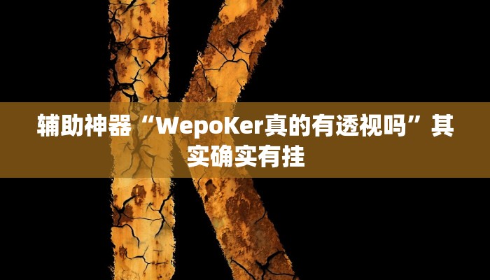 辅助神器“WepoKer真的有透视吗”其实确实有挂