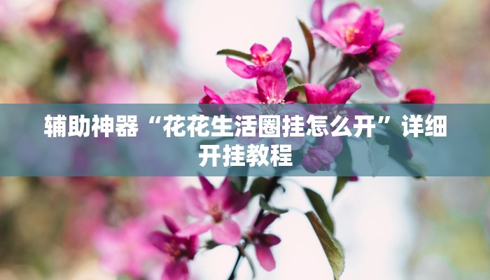 辅助神器“花花生活圈挂怎么开”详细开挂教程
