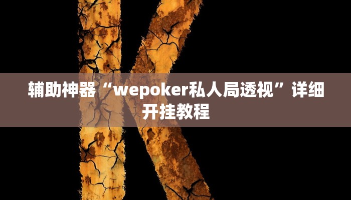 辅助神器“wepoker私人局透视”详细开挂教程
