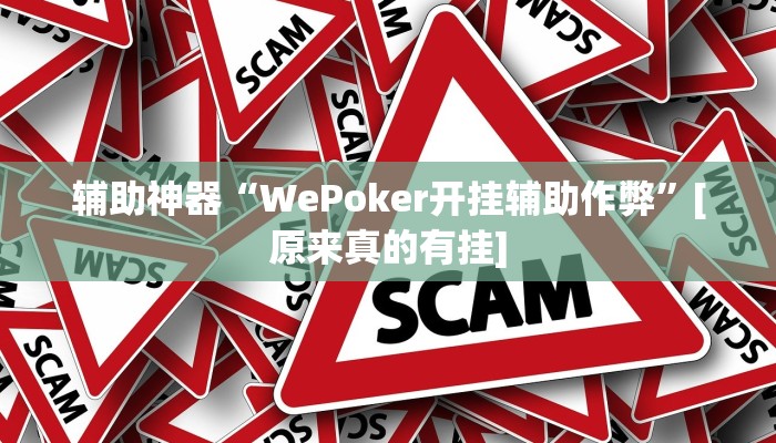 辅助神器“WePoker开挂辅助作弊”[原来真的有挂]