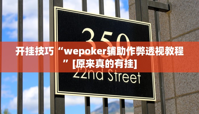 开挂技巧“wepoker辅助作弊透视教程”[原来真的有挂]
