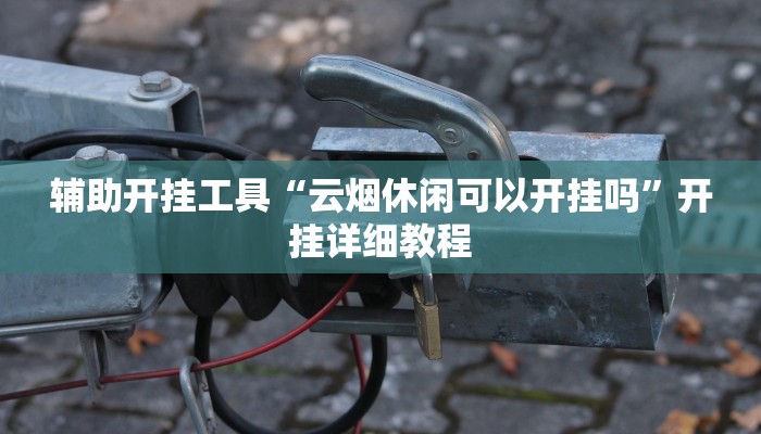 辅助开挂工具“云烟休闲可以开挂吗”开挂详细教程