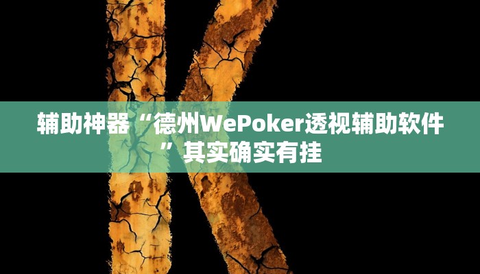辅助神器“德州WePoker透视辅助软件”其实确实有挂