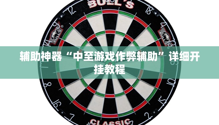 辅助神器“中至游戏作弊辅助”详细开挂教程