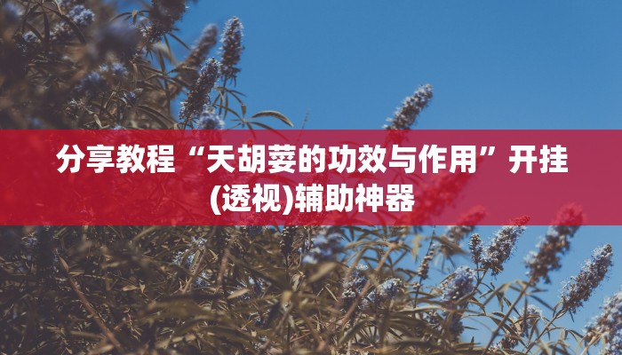 分享教程“天胡荽的功效与作用”开挂(透视)辅助神器