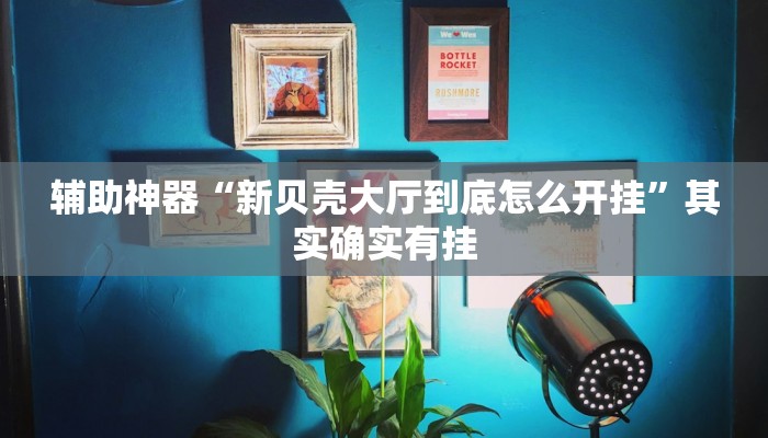 辅助神器“新贝壳大厅到底怎么开挂”其实确实有挂