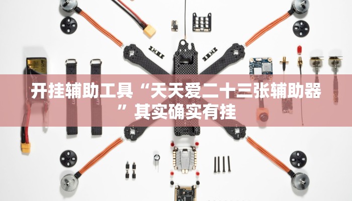 开挂辅助工具“天天爱二十三张辅助器”其实确实有挂