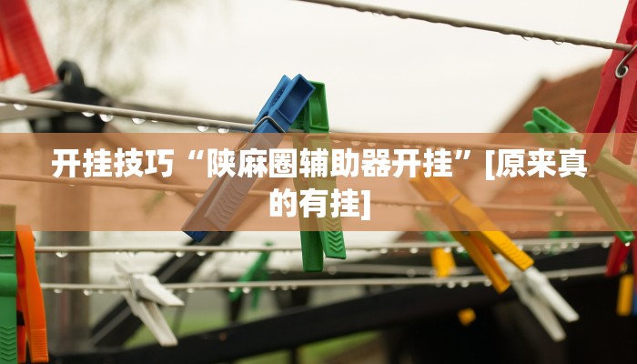 开挂技巧“陕麻圈辅助器开挂”[原来真的有挂]