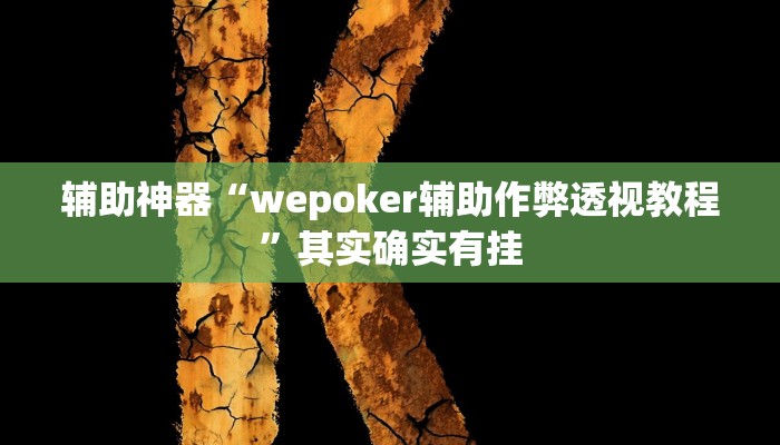 辅助神器“wepoker辅助作弊透视教程”其实确实有挂