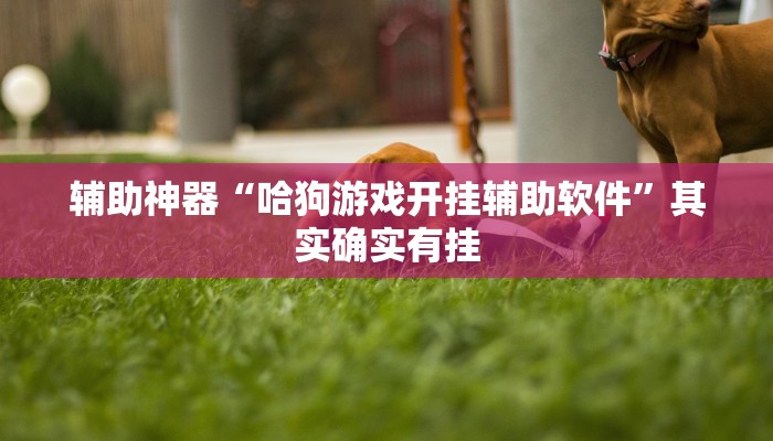 辅助神器“哈狗游戏开挂辅助软件”其实确实有挂 辅助神器“哈狗游戏开挂辅助软件”其实确实有挂