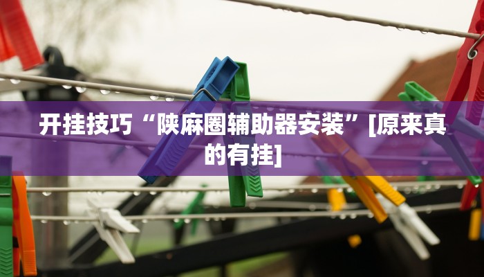 开挂技巧“陕麻圈辅助器安装”[原来真的有挂]