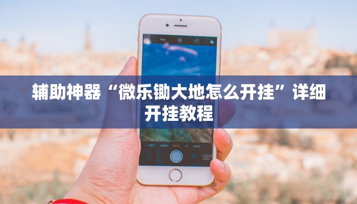 辅助神器“微乐锄大地怎么开挂”详细开挂教程