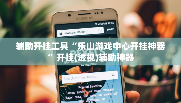 辅助开挂工具“乐山游戏中心开挂神器”开挂(透视)辅助神器