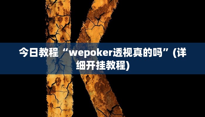 今日教程“wepoker透视真的吗”(详细开挂教程)