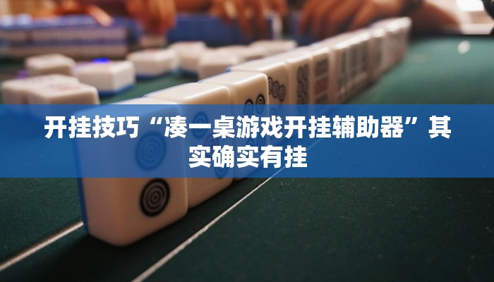 开挂技巧“凑一桌游戏开挂辅助器”其实确实有挂