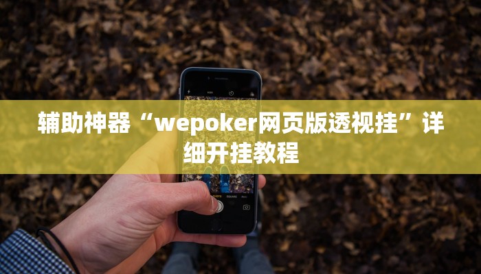 辅助神器“wepoker网页版透视挂”详细开挂教程