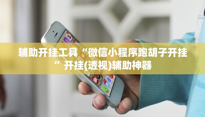 辅助开挂工具“微信小程序跑胡子开挂”开挂(透视)辅助神器