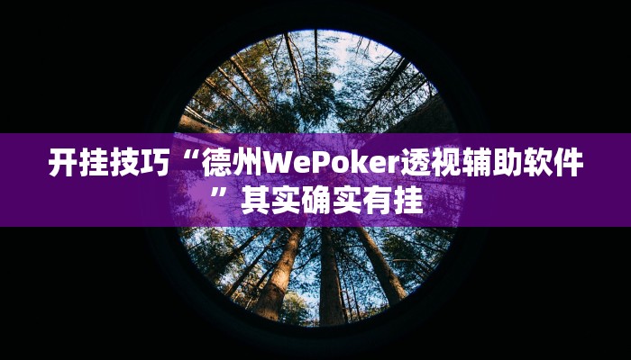 开挂技巧“德州WePoker透视辅助软件”其实确实有挂