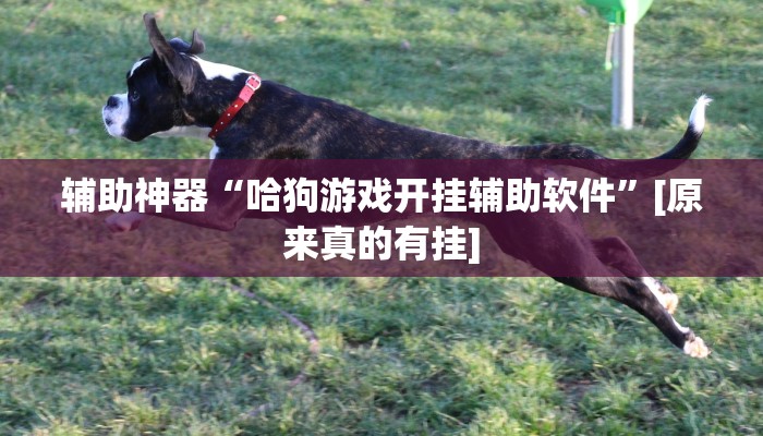 辅助神器“哈狗游戏开挂辅助软件”[原来真的有挂]