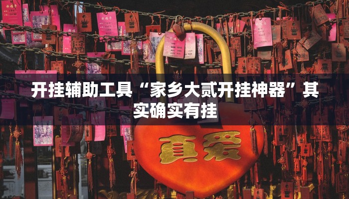 开挂辅助工具“家乡大贰开挂神器”其实确实有挂