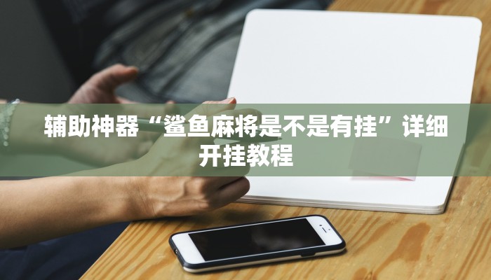 辅助神器“爱玩联盟透视挂”详细开挂教程