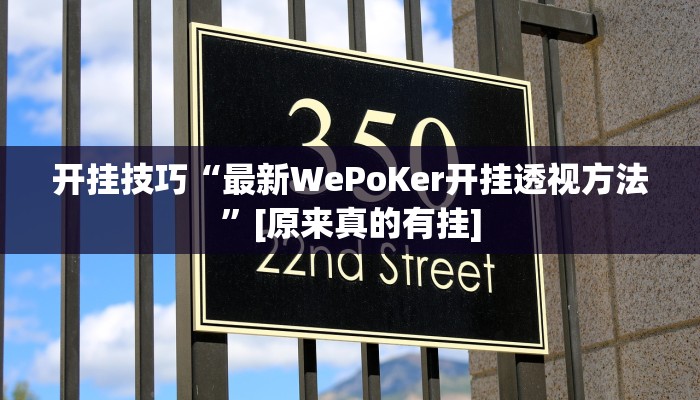 开挂技巧“最新WePoKer开挂透视方法”[原来真的有挂]