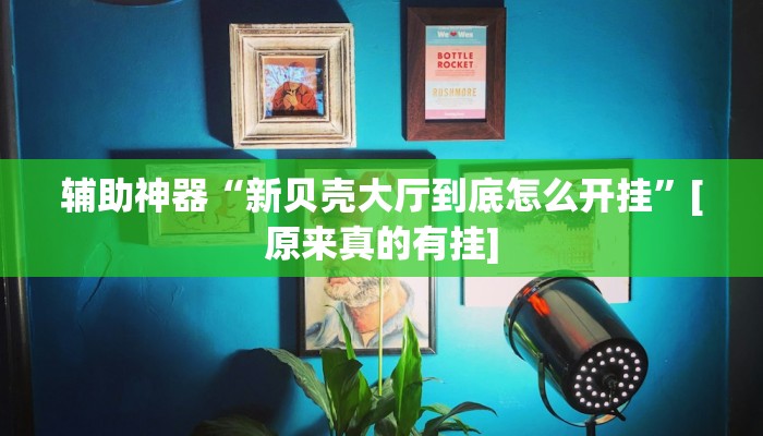 辅助神器“新贝壳大厅到底怎么开挂”[原来真的有挂]