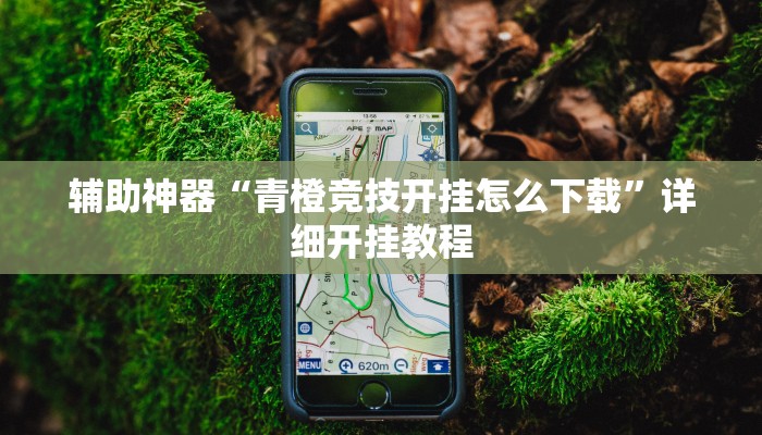 辅助神器“青橙竞技开挂怎么下载”详细开挂教程