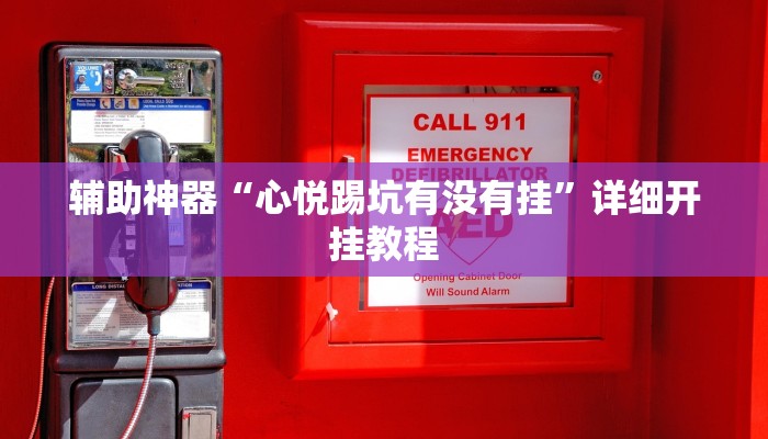 辅助神器“心悦踢坑有没有挂”详细开挂教程