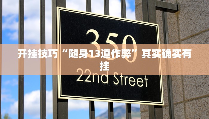 开挂技巧“随身13道作弊”其实确实有挂