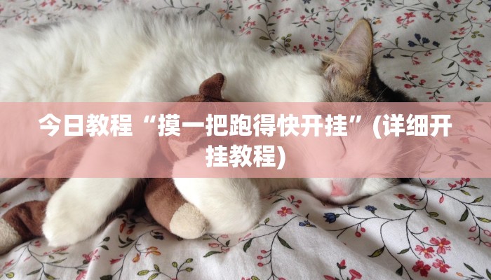 今日教程“摸一把跑得快开挂”(详细开挂教程)