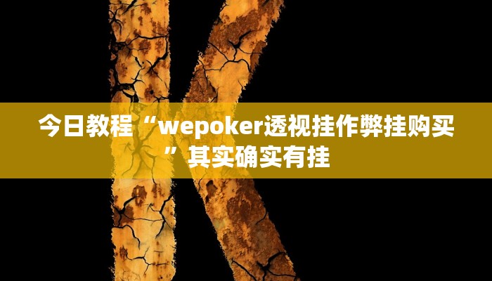 今日教程“wepoker透视挂作弊挂购买”其实确实有挂