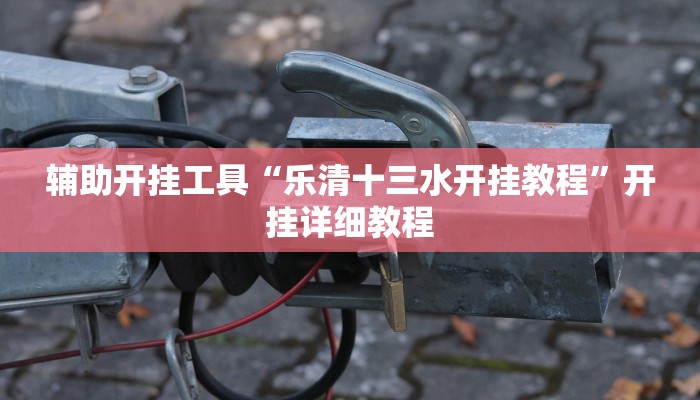 辅助开挂工具“乐清十三水开挂教程”开挂详细教程