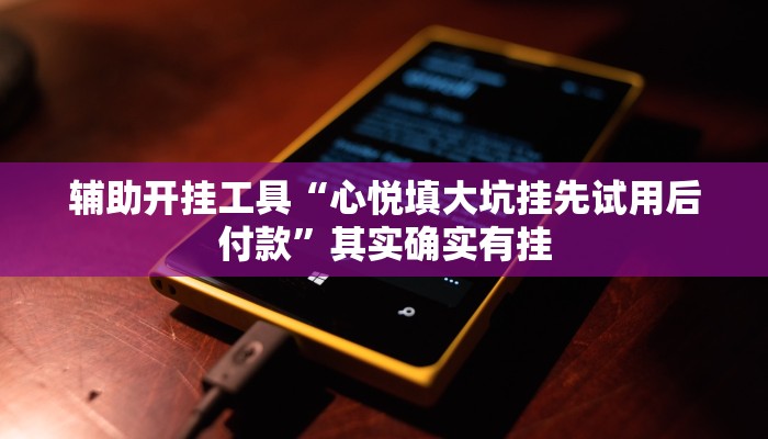 辅助开挂工具“心悦填大坑挂先试用后付款”其实确实有挂