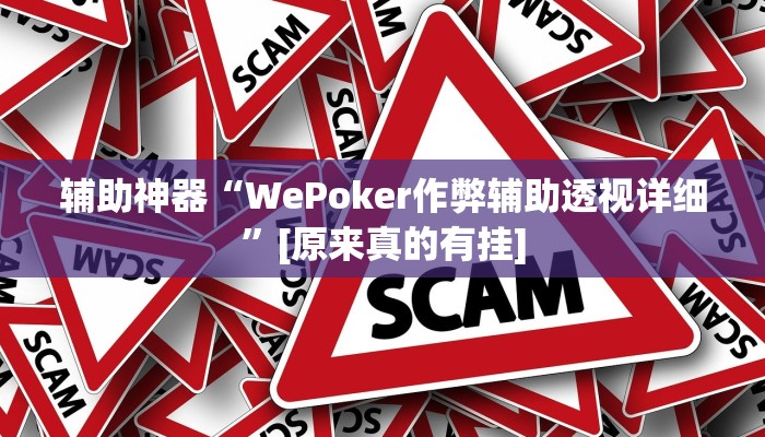 辅助神器“WePoker作弊辅助透视详细”[原来真的有挂]